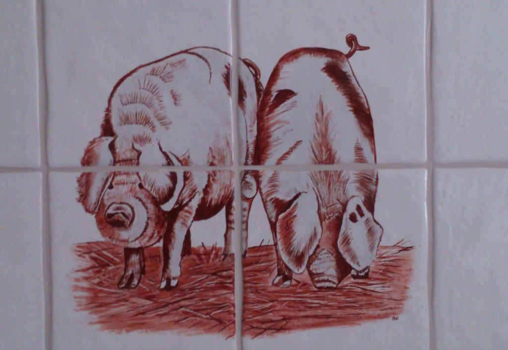 Stal Zwartschaap Apartment Stuifzand Room photo